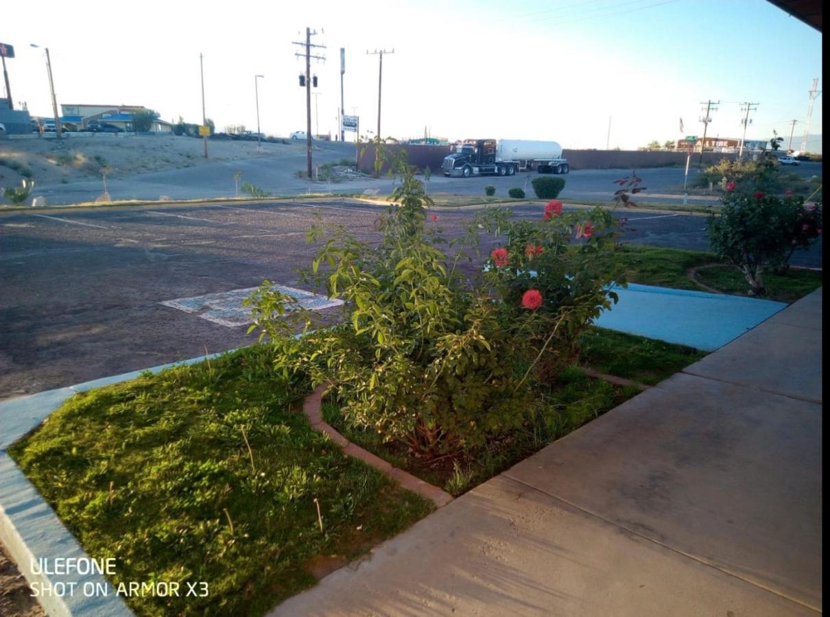 Willcox Extended Inn And Suites Екстериор снимка